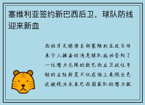 塞维利亚签约新巴西后卫，球队防线迎来新血