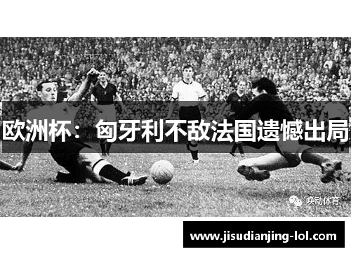 欧洲杯：匈牙利不敌法国遗憾出局